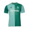 Hummel SV Werder Bremen Trikot Home 2023/2024 - gruen