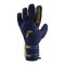 Reusch Attrakt Freegel Silver TW-Handschuhe - blau