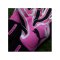 PUMA ULTRA Ultimate Hybrid TW-Handschuhe - pink