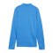 PUMA teamGOAL Training 1/4 Zip Sweatshirt D F02 - hellblau