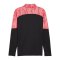 PUMA individualFINAL HalfZip Sweatshirt - schwarz