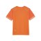 PUMA teamGOAL Matchday Trikot Kids Orange - orange