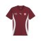 PUMA Schweiz Prematch Shirt EM 2024 Rot F08 - rot