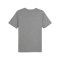 PUMA Schweiz Ftbl Icons T-Shirt EM 2024 Grau F16 - grau