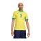 Nike Brasilien Auth. Trikot Home Copa America 2024 - gelb
