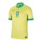 Nike Brasilien Trikot Home 2024 Copa America 2024 - gelb