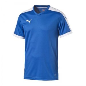 puma-pitch-shortsleeved-shirt-trikot-kurzarmtrikot-jersey-herrentrikot-teamwear-vereinsausstattung-men-herren-blau-f02-702070.png