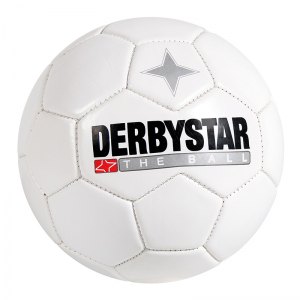 derbystar-miniball-miniball-fussball-fanartikel-geschenkartikel-4251.png