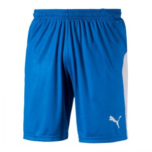 puma-liga-short-blau-weiss-f02-teamsport-textilien-sport-mannschaft-703431.png