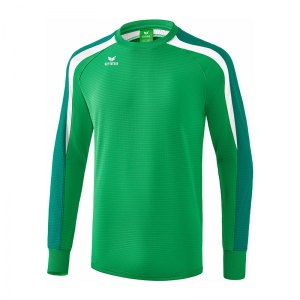 erima-liga-2-0-sweatshirt-gruen-weiss-teamsport-pullover-pulli-spielerkleidung-1071863.png