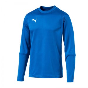 puma-liga-training-sweatshirt-blau-f02-teampsort-mannschaft-ausruestung-655669.png