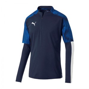 puma-cup-training-1-4-zip-top-blau-f02-fussball-teamsport-textil-sweatshirts-656016.png