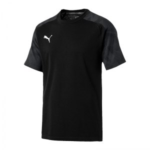 puma-cup-sideline-t-shirt-schwarz-f03-fussball-teamsport-textil-t-shirts-656049.png