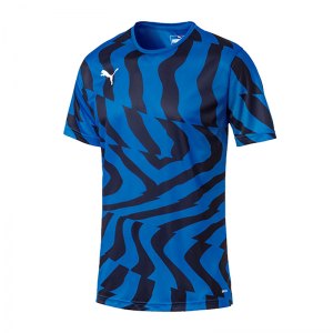 puma-cup-jersey-core-t-shirt-blau-f02-fussball-teamsport-textil-t-shirts-703775.png
