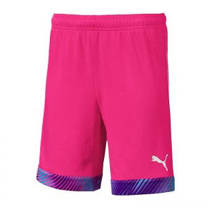 puma-cup-short-kids-pink-lila-weiss-f41-fussball-teamsport-textil-shorts-704035.png
