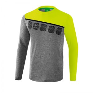 erima-5-c-longsleeve-grau-gruen-fussball-teamsport-textil-sweatshirts-1331908.png