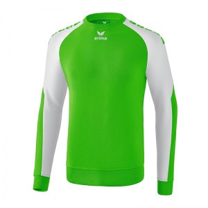 10124397-erima-essential-5-c-sweatshirt-gruen-weiss-6071904-fussball-teamsport-textil-sweatshirts.png