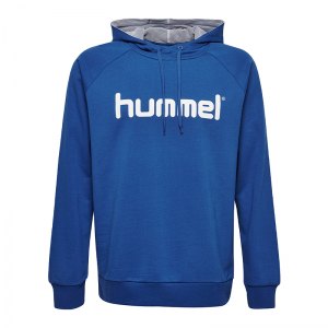 10124745-hummel-cotton-logo-hoody-blau-f7045-203511-fussball-teamsport-textil-sweatshirts.png