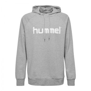 10124753-hummel-cotton-logo-hoody-kids-grau-f2006-203512-fussball-teamsport-textil-sweatshirts.png