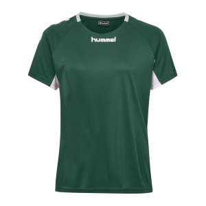 hummel-core-team-jersey-trikot-damen-f6140-fussball-teamsport-textil-trikots-203438.png