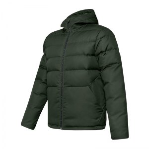 under-armour-sportstyle-core-hoody-gruen-f310-fussball-textilien-sweatshirts-1342693.png