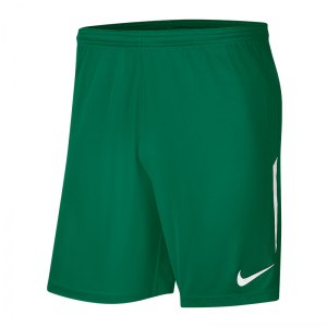 nike-dri-fit-shorts-gruen-weiss-f302-fussball-teamsport-textil-shorts-bv6852.png