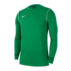 nike-dri-fit-park-shirt-longsleeve-gruen-f302-fussball-teamsport-textil-sweatshirts-bv6875.png