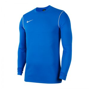 nike-dri-fit-park-shirt-longsleeve-blau-f463-fussball-teamsport-textil-sweatshirts-bv6875.png