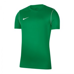 nike-dri-fit-park-t-shirt-gruen-f302-fussball-teamsport-textil-t-shirts-bv6883.png