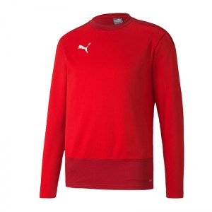 puma-teamgoal-23-training-sweatshirt-rot-f01-fussball-teamsport-textil-sweatshirts-656478.png