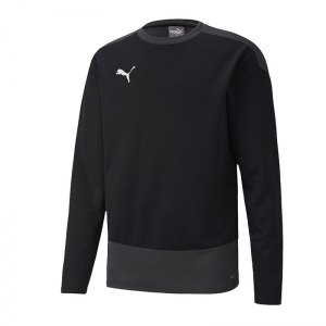 puma-teamgoal-23-training-sweatshirt-schwarz-f03-fussball-teamsport-textil-sweatshirts-656478.png