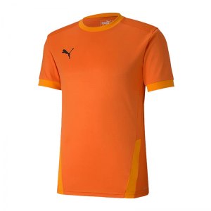 puma-teamgoal-23-trikot-kurzarm-orange-f08-fussball-teamsport-textil-trikots-704171.png