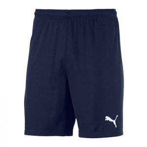 puma-teamgoal-23-knit-short-blau-f06-fussball-teamsport-textil-shorts-704262.png