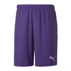 puma-teamgoal-23-knit-short-lila-f10-fussball-teamsport-textil-shorts-704262.png