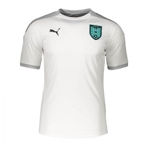 puma-oesterreich-trainingstrikot-weiss-f02-replicas-t-shirts-nationalteams-757124.png
