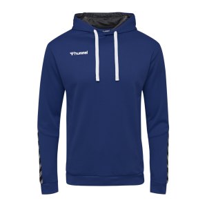 hummel-authentic-poly-hoodie-blau-f7045-204930-teamsport_front.png