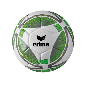 erima-senzor-lightball-350-gramm-gr-5-grau-gruen-7192007-equipment.png