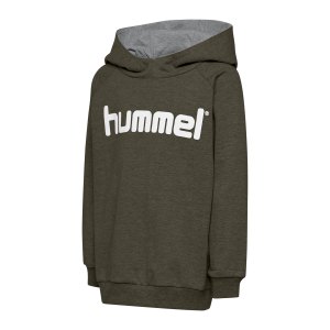 hummel-cotton-logo-hoody-kids-gruen-f6084-203512-teamsport_front.png