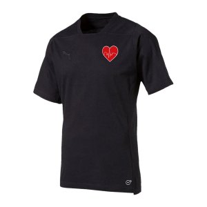 puma-final-wlf-casuals-tee-t-shirt-schwarz-f03-655296wlf-teamsport_front.png