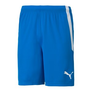 puma-teamliga-shorts-blau-f02-704924-teamsport_front.png