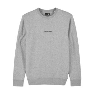bolzplatzkind-friendly-sweatshirt-grau-bpkstsu823-lifestyle_front.png