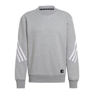 adidas-3-stripes-future-icons-sweatshirt-grau-hc5255-fussballtextilien_front.png