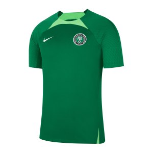 nike-nigeria-strike-trainingsshirt-gruen-f302-dh6447-fan-shop_front.png