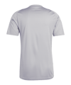 adidas Tiro 24 Trikot Grau Weiss - grau