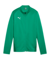 PUMA teamGOAL Trainingsjacke Damen Grün F05 - gruen