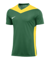 Nike Park Derby IV Trikot Grün Gelb F303 