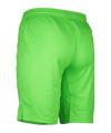 PUMA Schiedsrichter Short Grün F02 - gruen