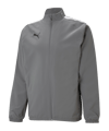 PUMA teamLIGA Sideline Jacke Grau Weiss F13 - grau