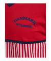 hummel DBU Dänemark Fan 86 Block Cotton T-Shirt 2026 Rot F3681 - rot