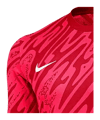 Nike Gardien V Torwarttrikot langarm Rot F644 | - rot